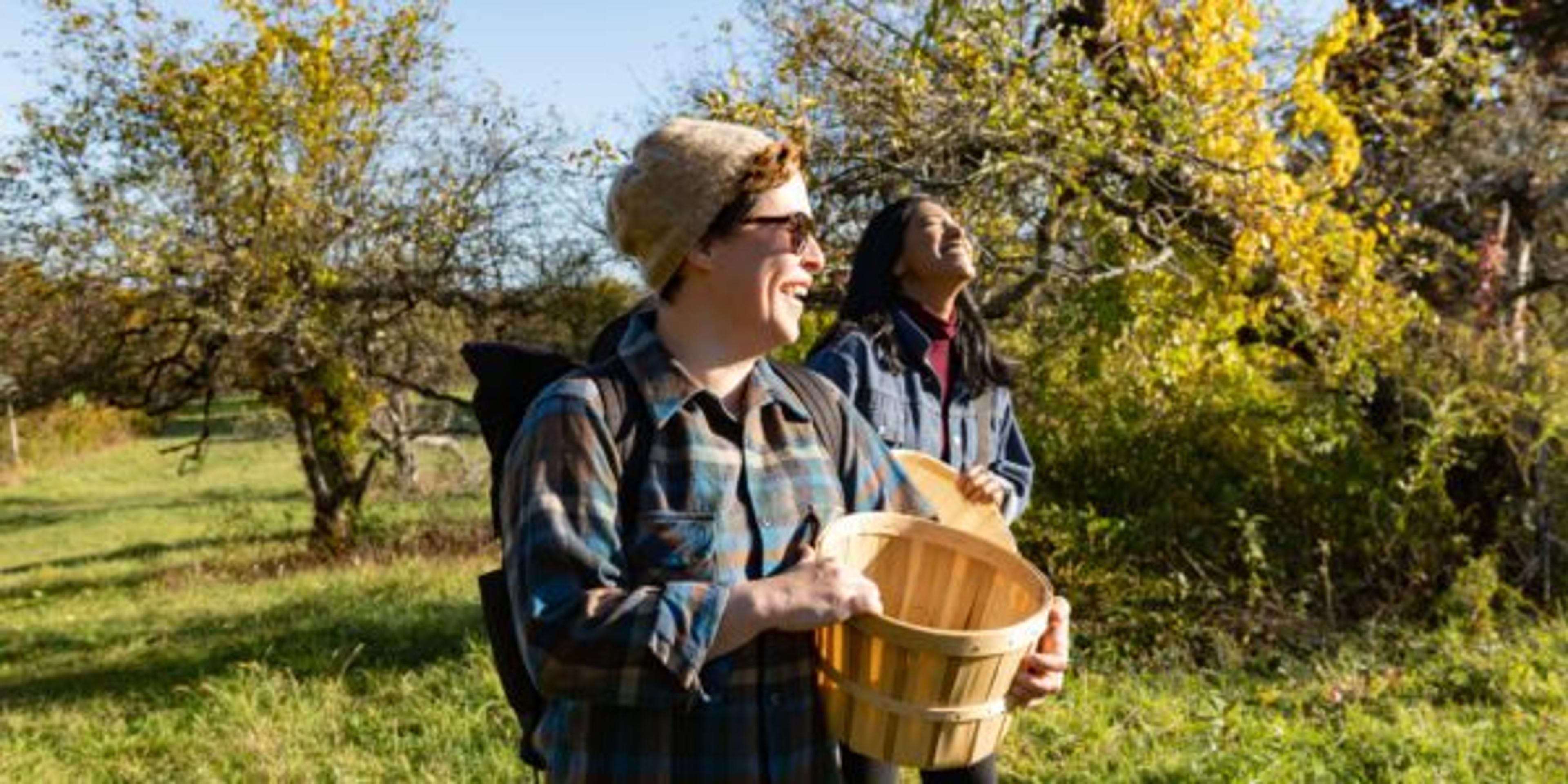 Michigan Bucket List: Apple Orchards to Explore This Fall 