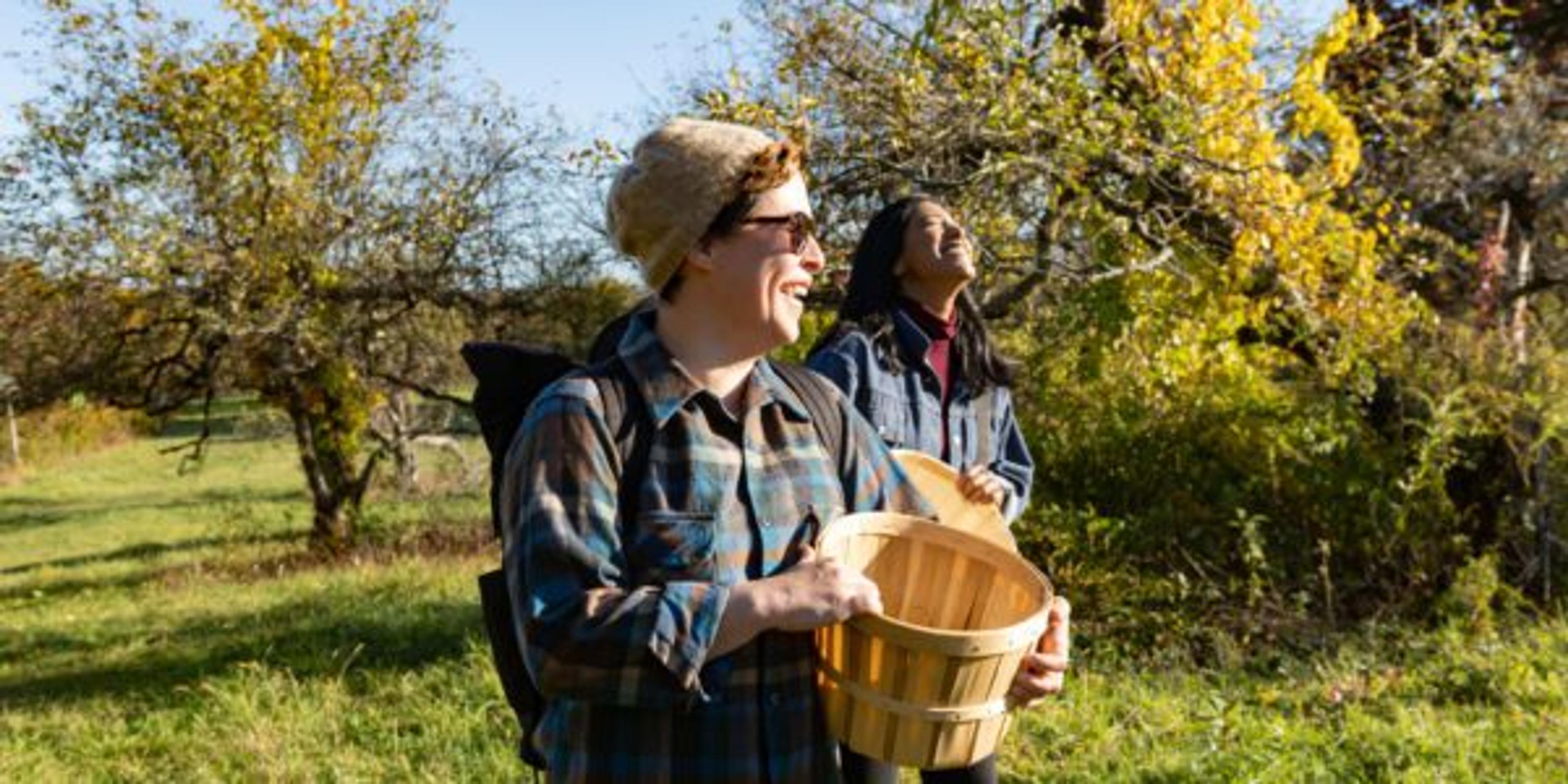 Michigan Bucket List: Apple Orchards to Explore This Fall