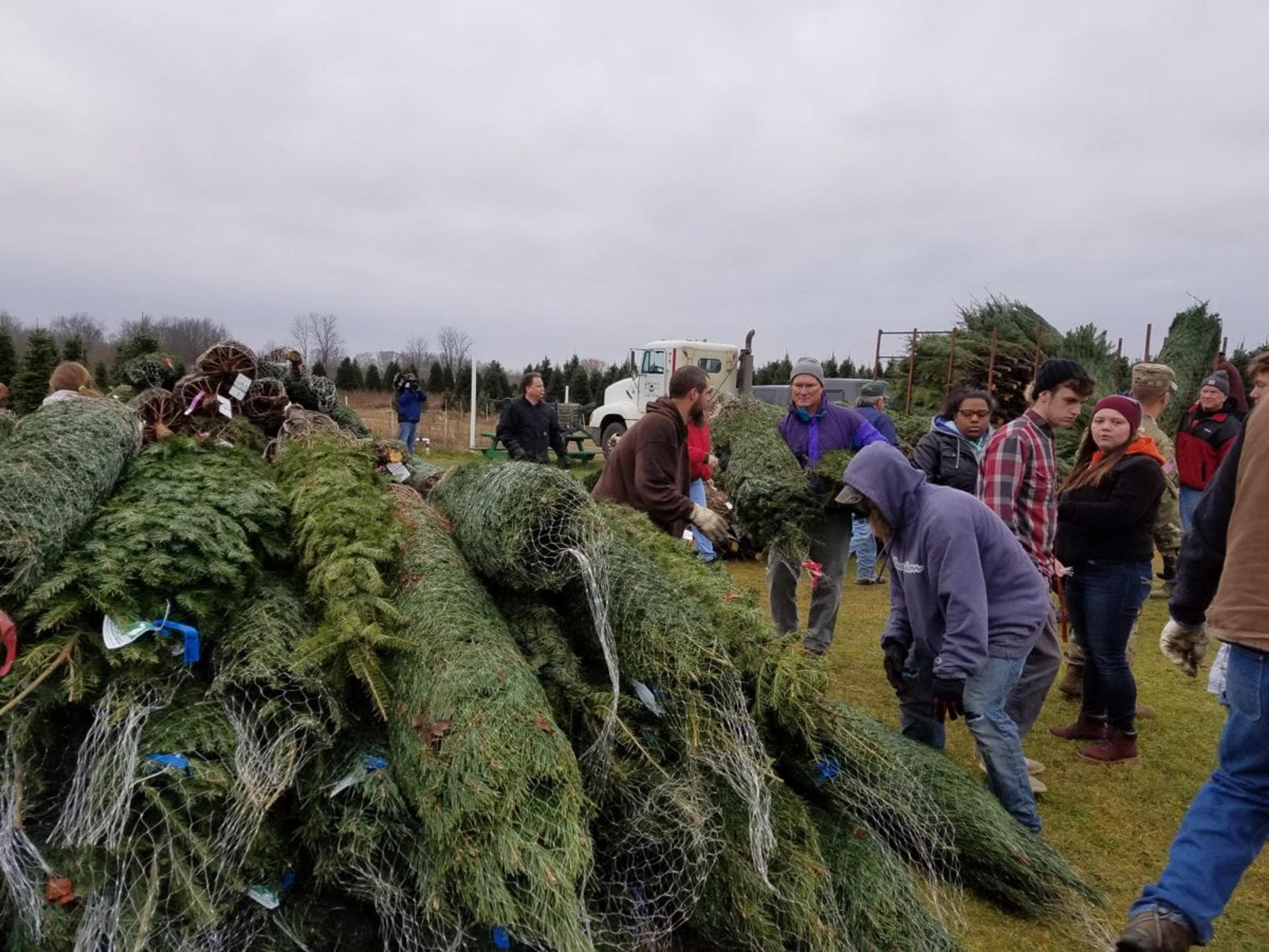 Tree collection day at Wahmhoff Farms Nursery. Photo courtesy of Marsha Gray
