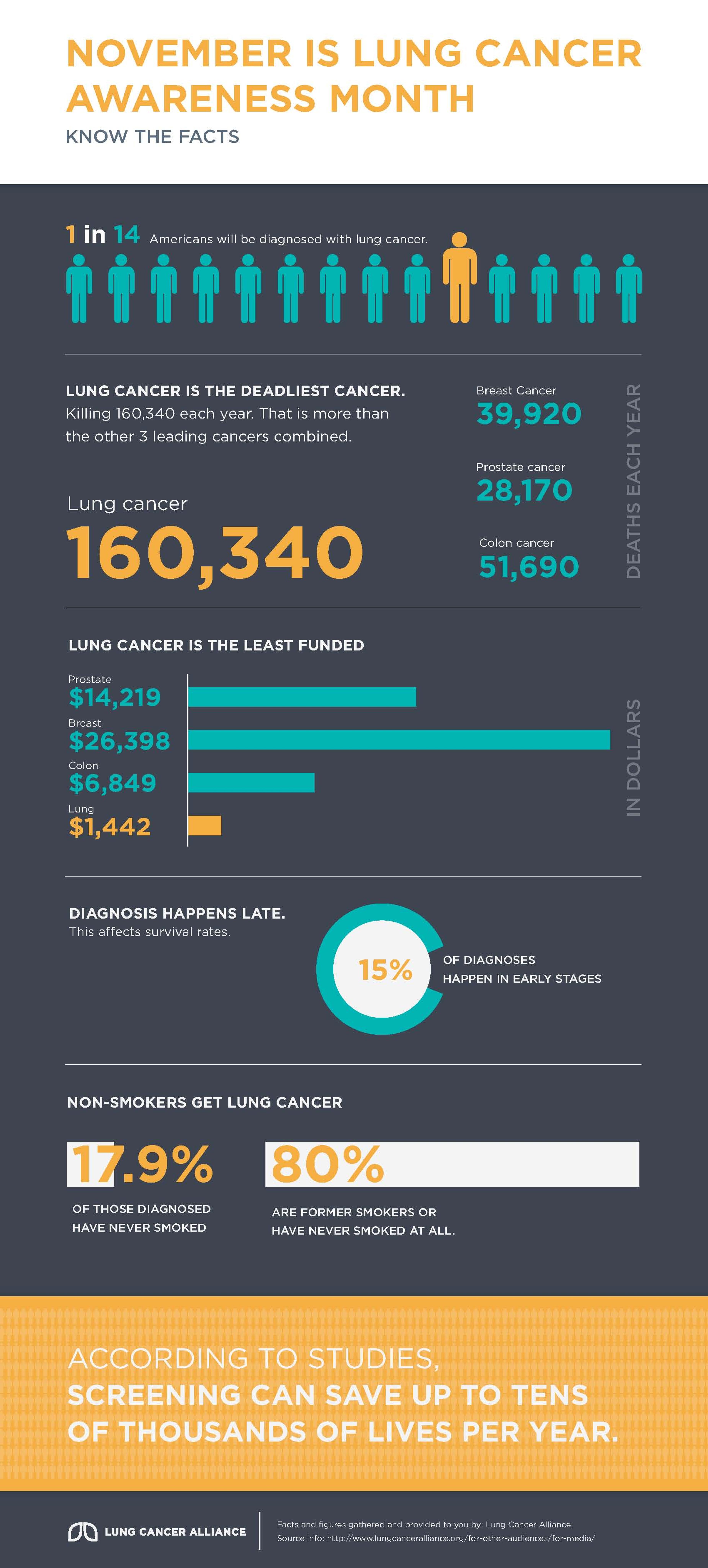 Lung Cancer Awareness Month Infographic