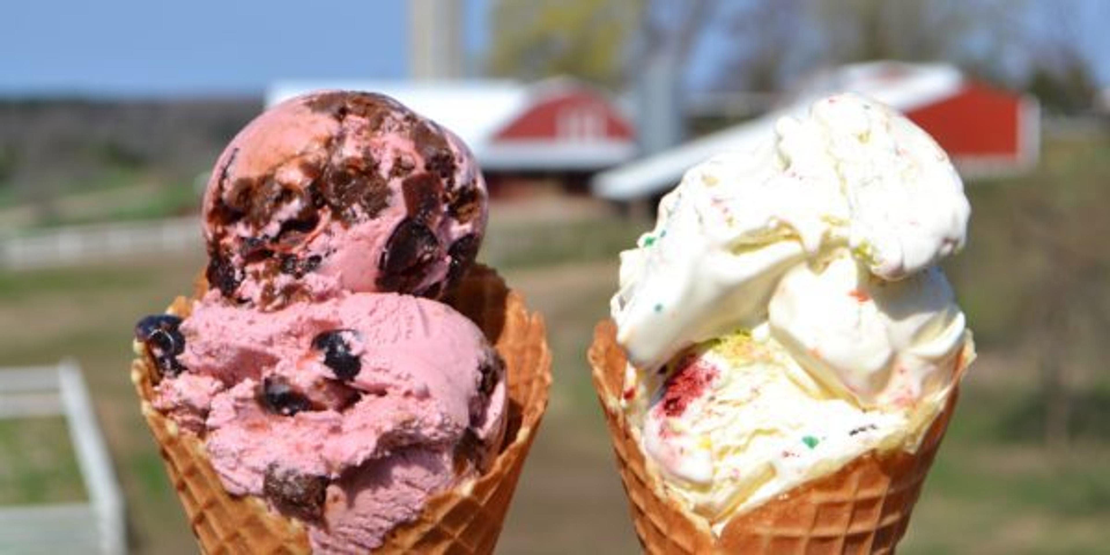 There are more than a few iconic ice cream spots that Michigan families flock to each summer. These shops have enjoyed sustained success for their quality and service. How many of these eight have you visited, and how many more would you like to check out?