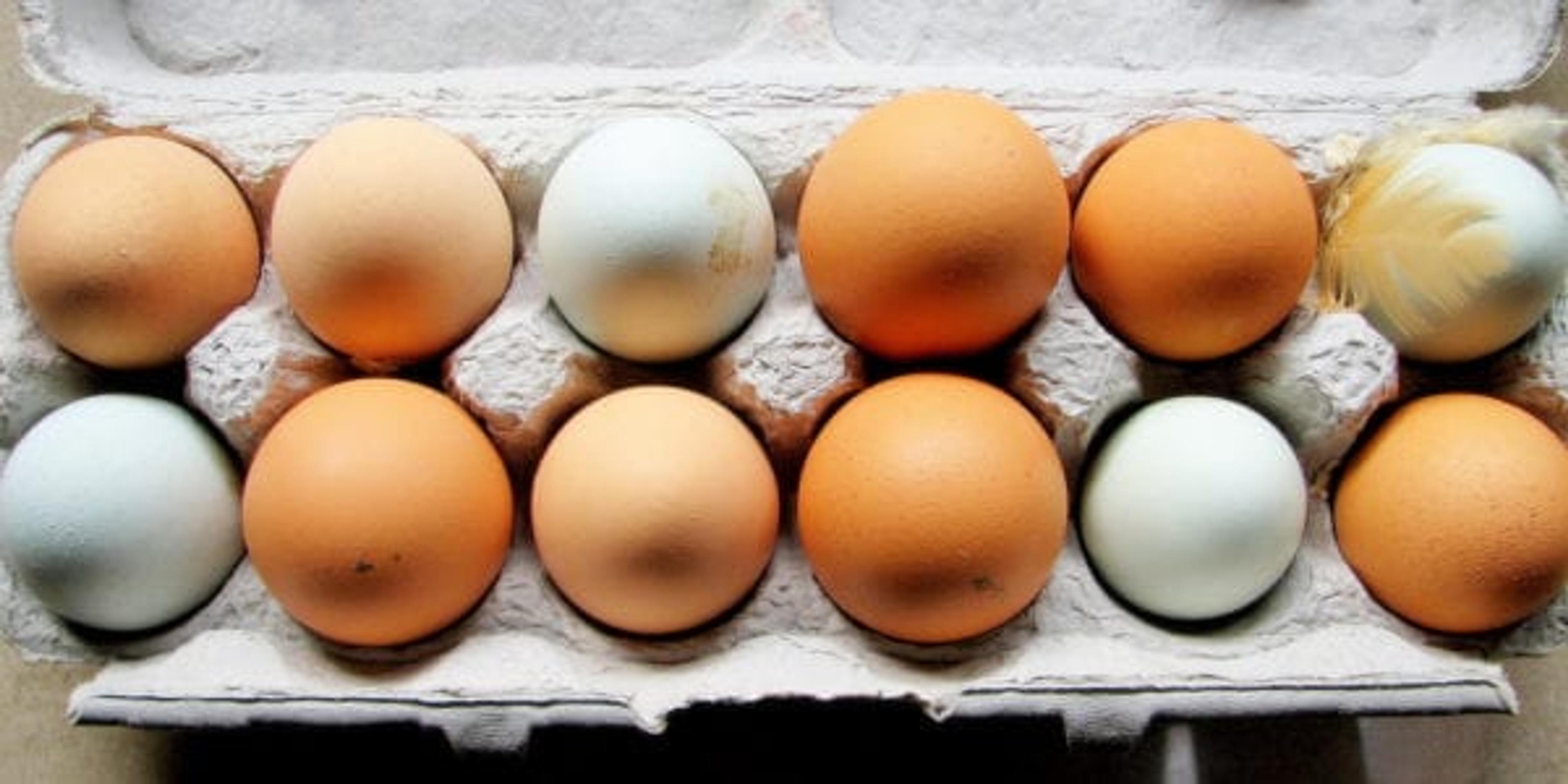 brown and white eggs