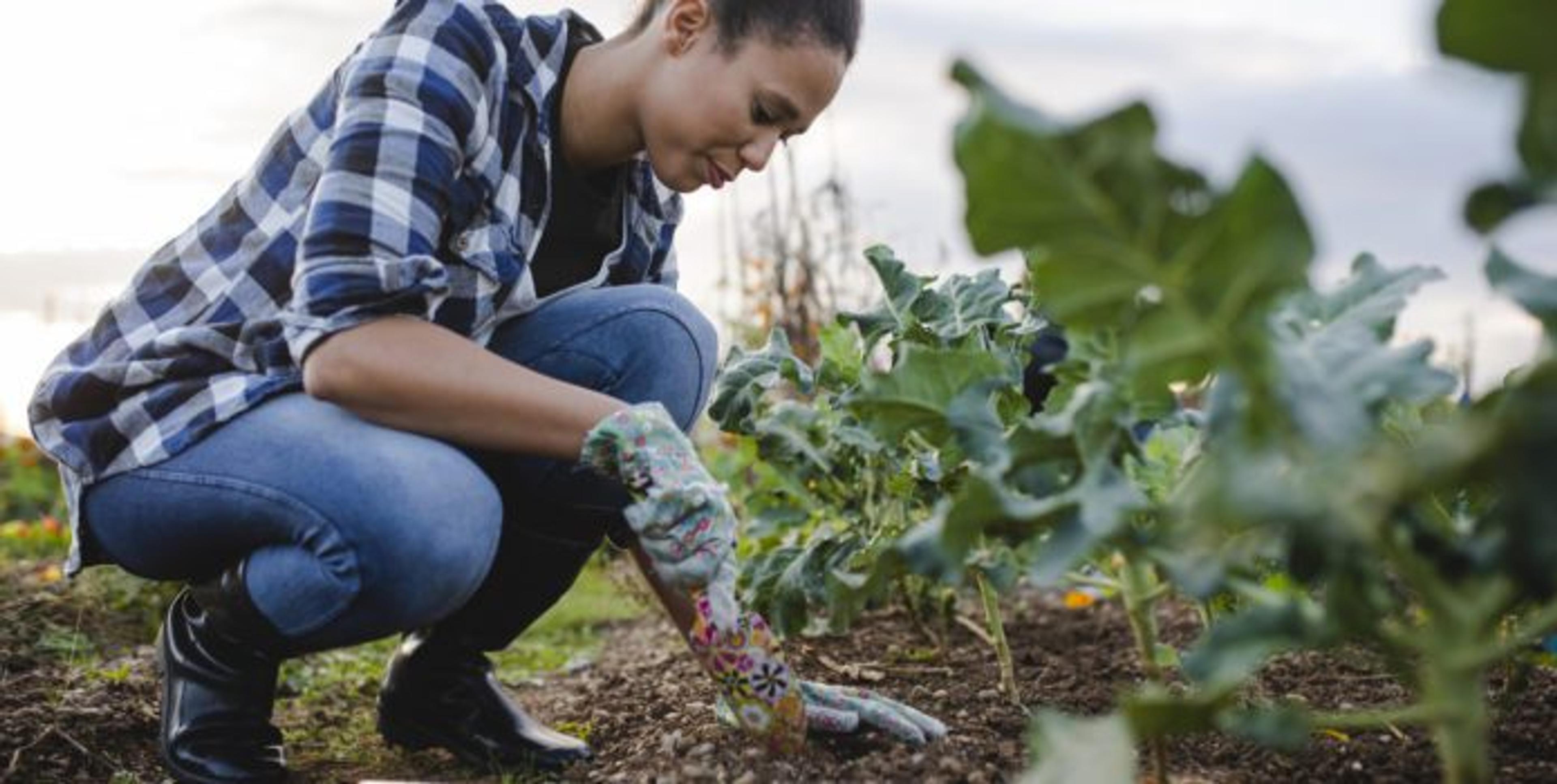 How to Get Your Garden Ready for Spring