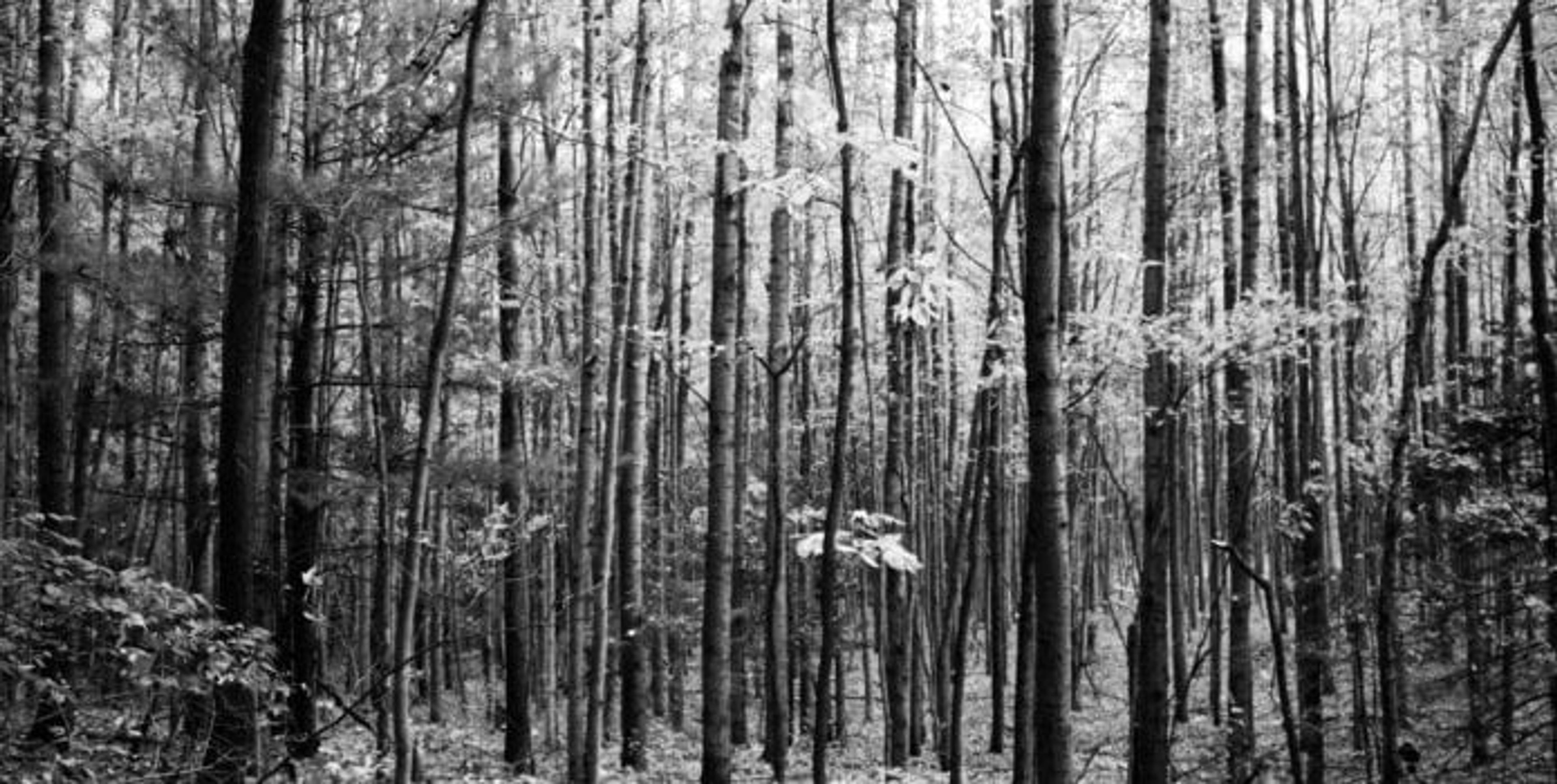 Haunted Places in Michigan