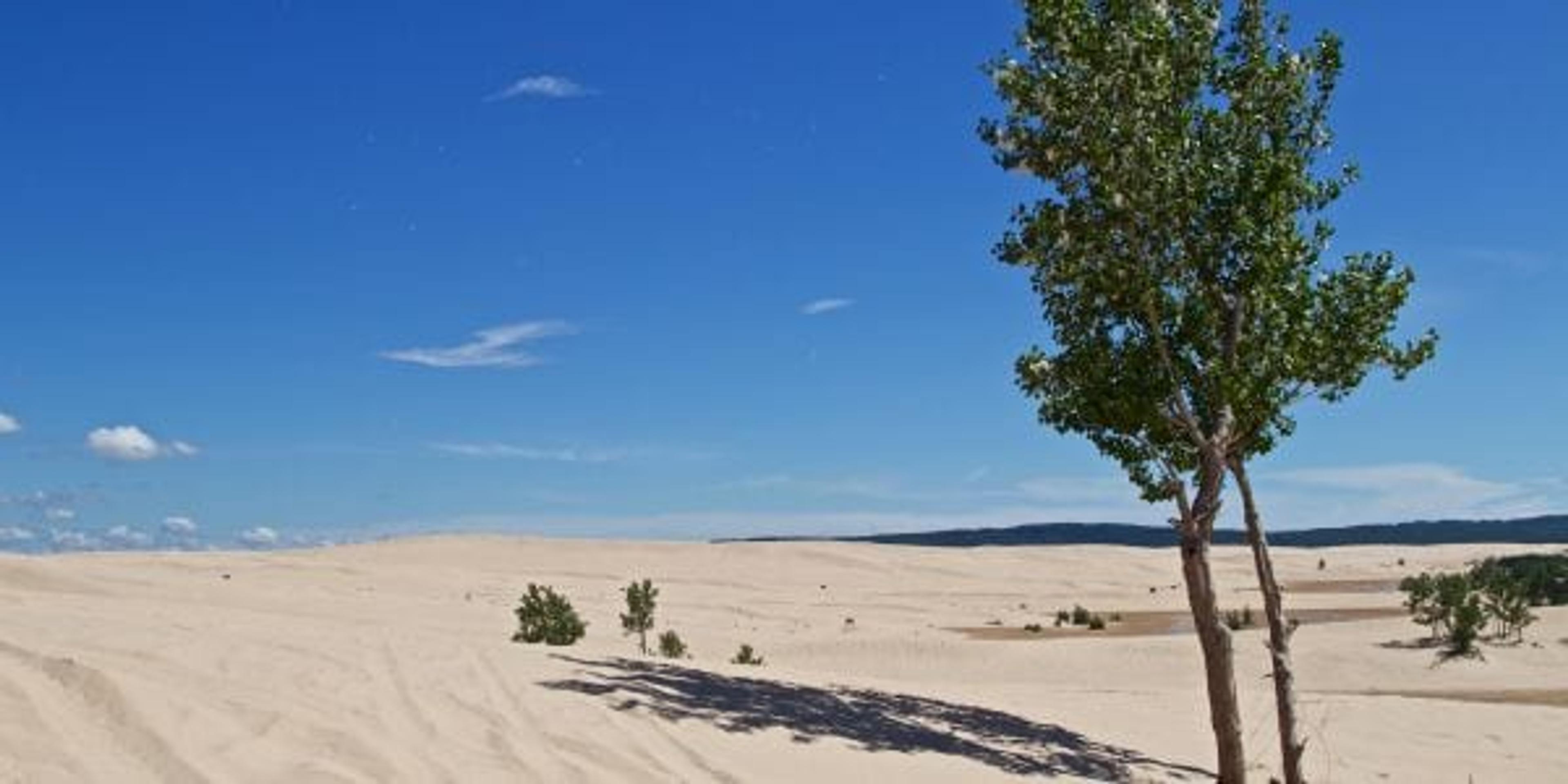 Silver Lake State Park Sand Dunes