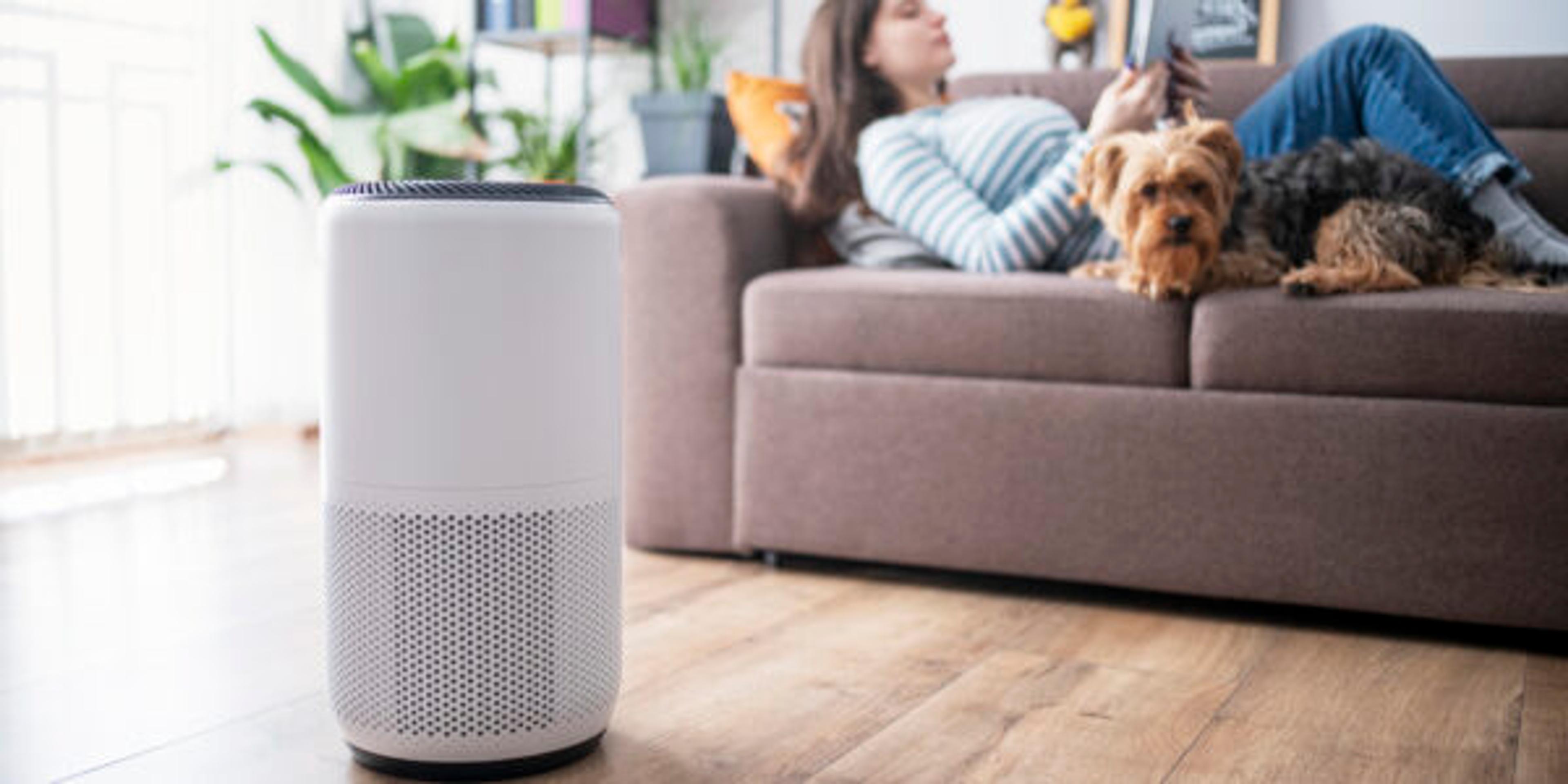 Young woman in living room setting up home air purifier.