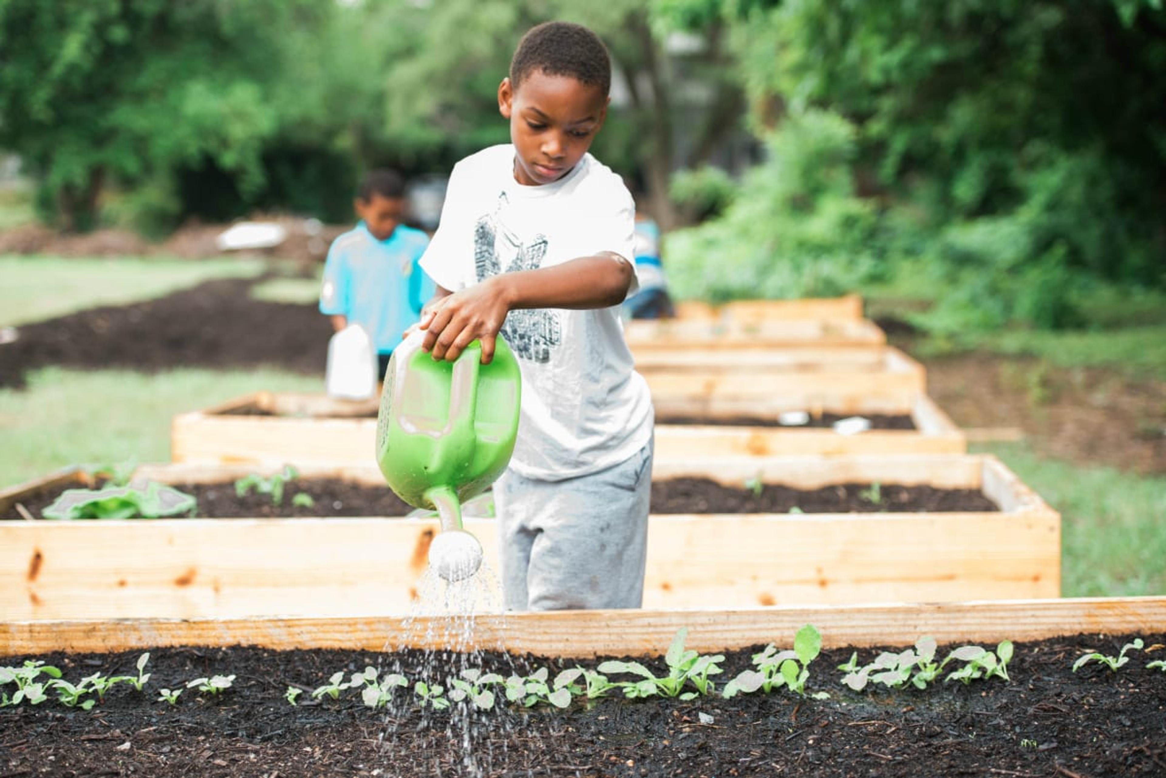 Detroit Downtown Boxing Gym Youth Program A Healthier Michigan Blue Cross