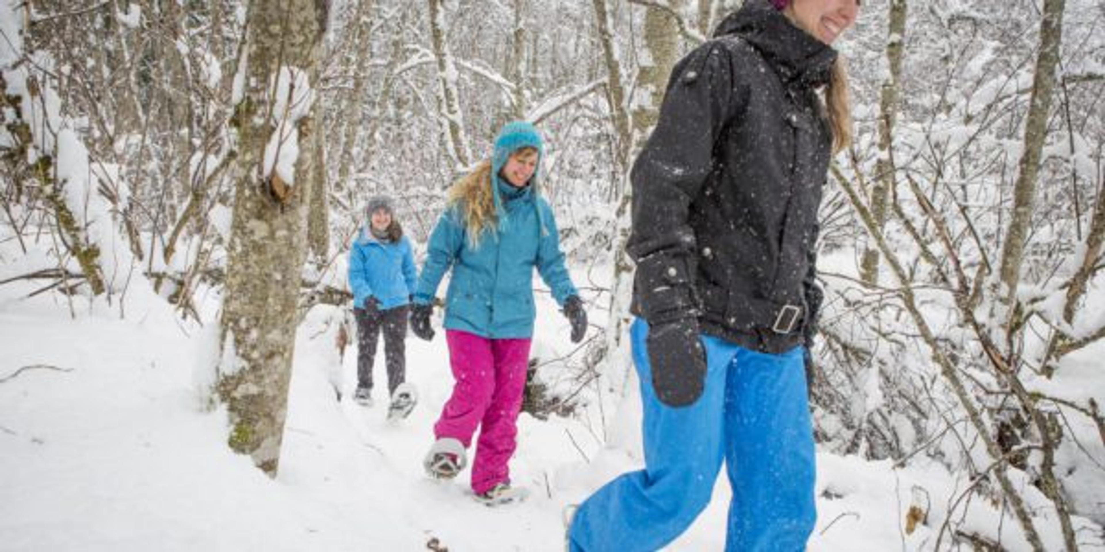 Three friends walking in snowshoes in forest, enjoying the winter and outdoors.