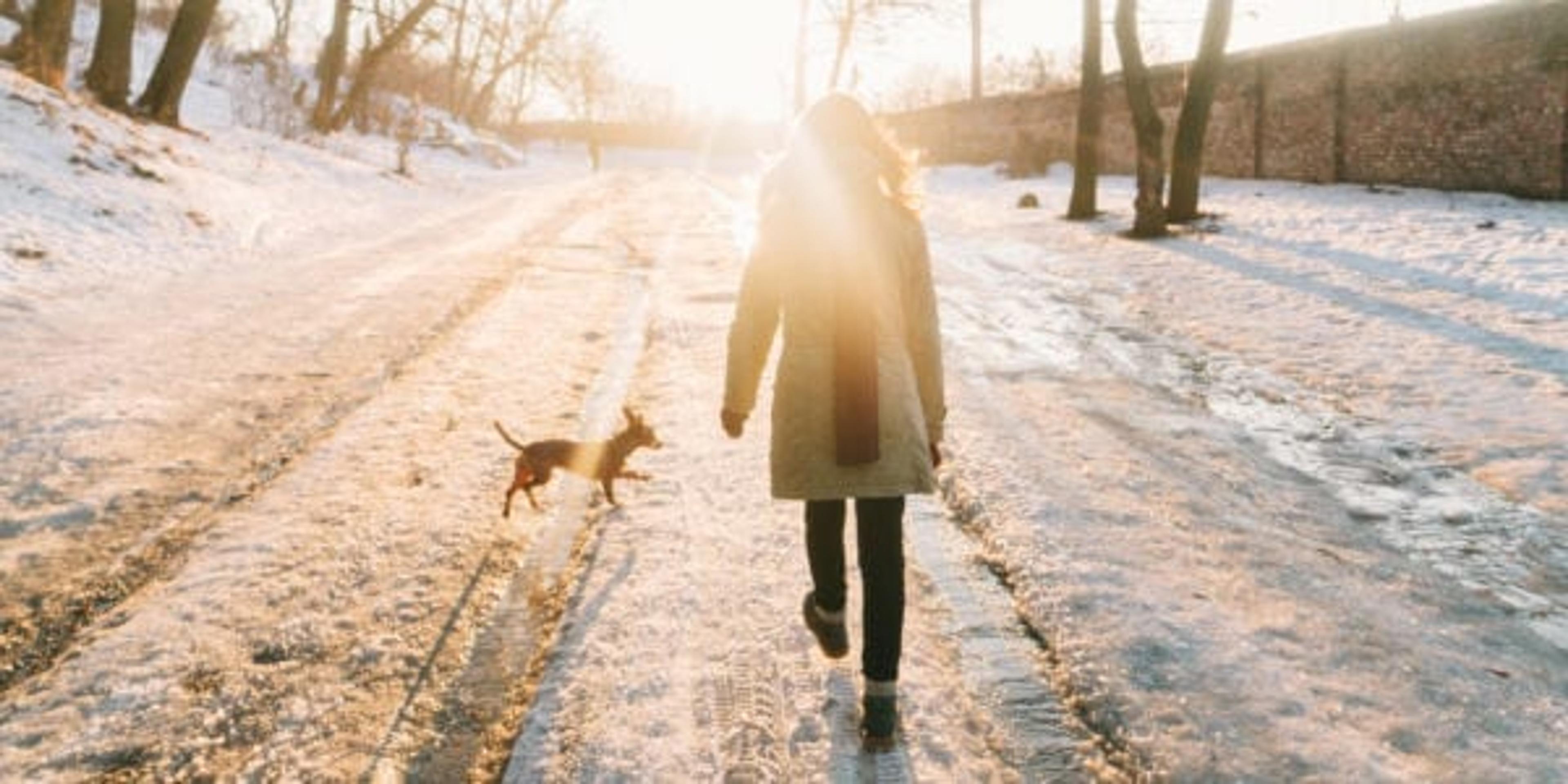 Woman walking in park wtih dog in winter