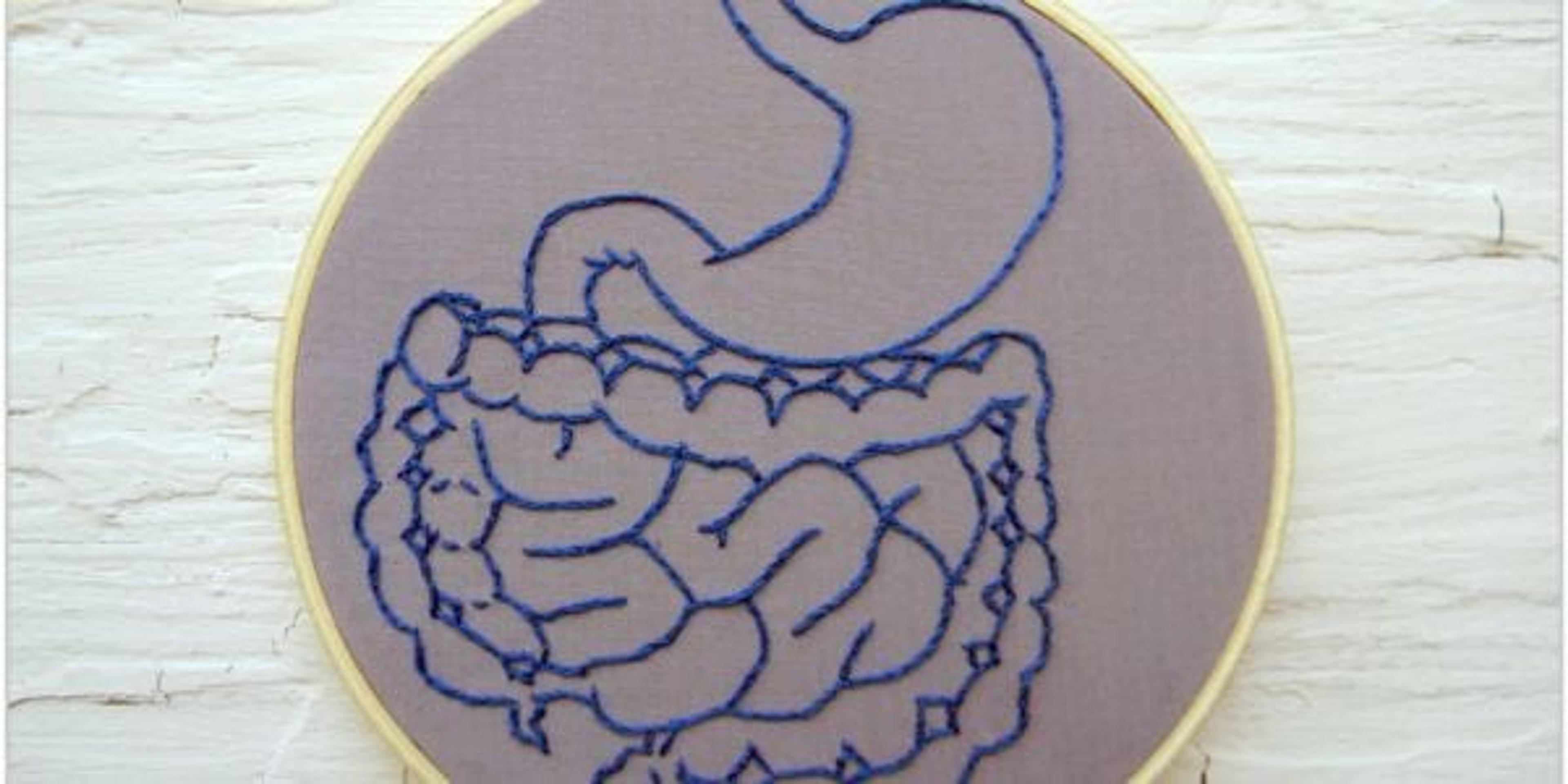 Image of the digestive system on needlepoint