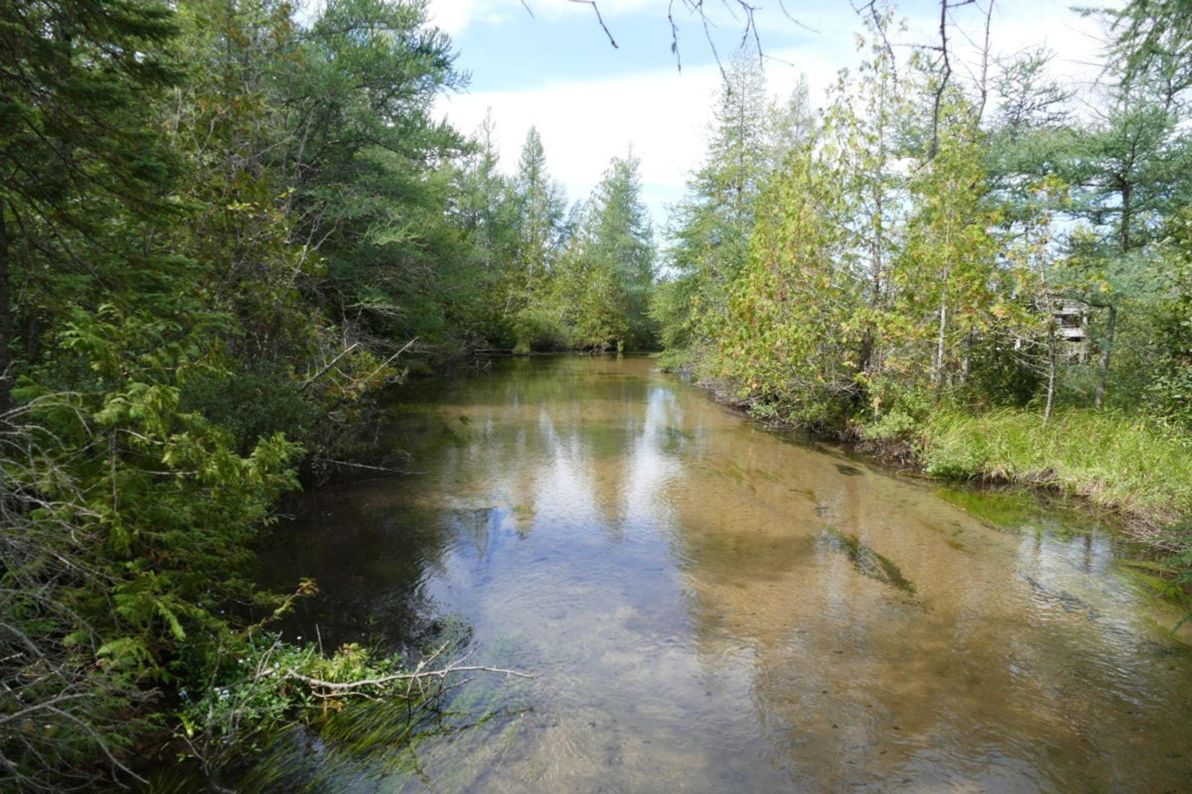 Picture of a river