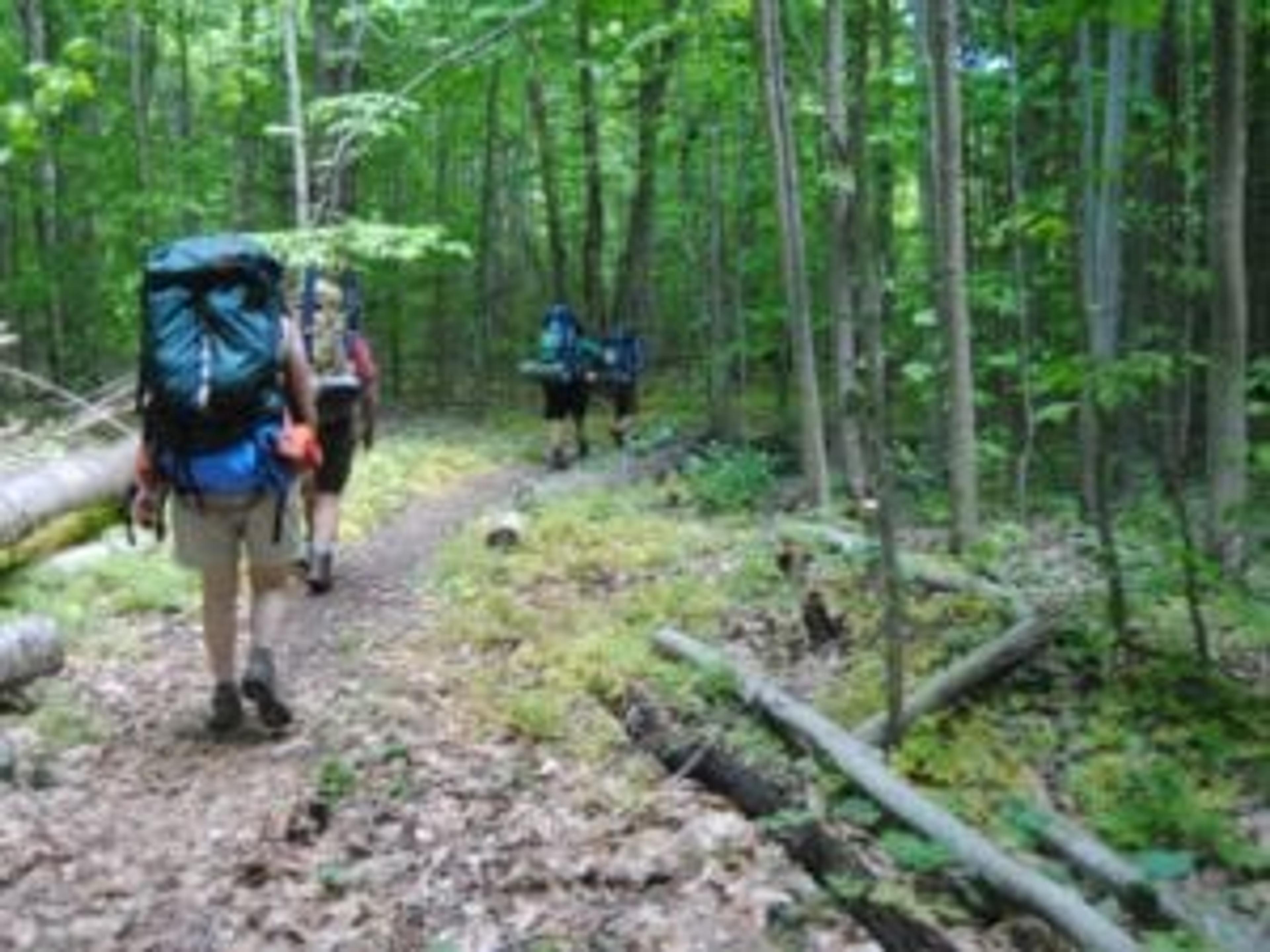 the group walking in the woods on a trail