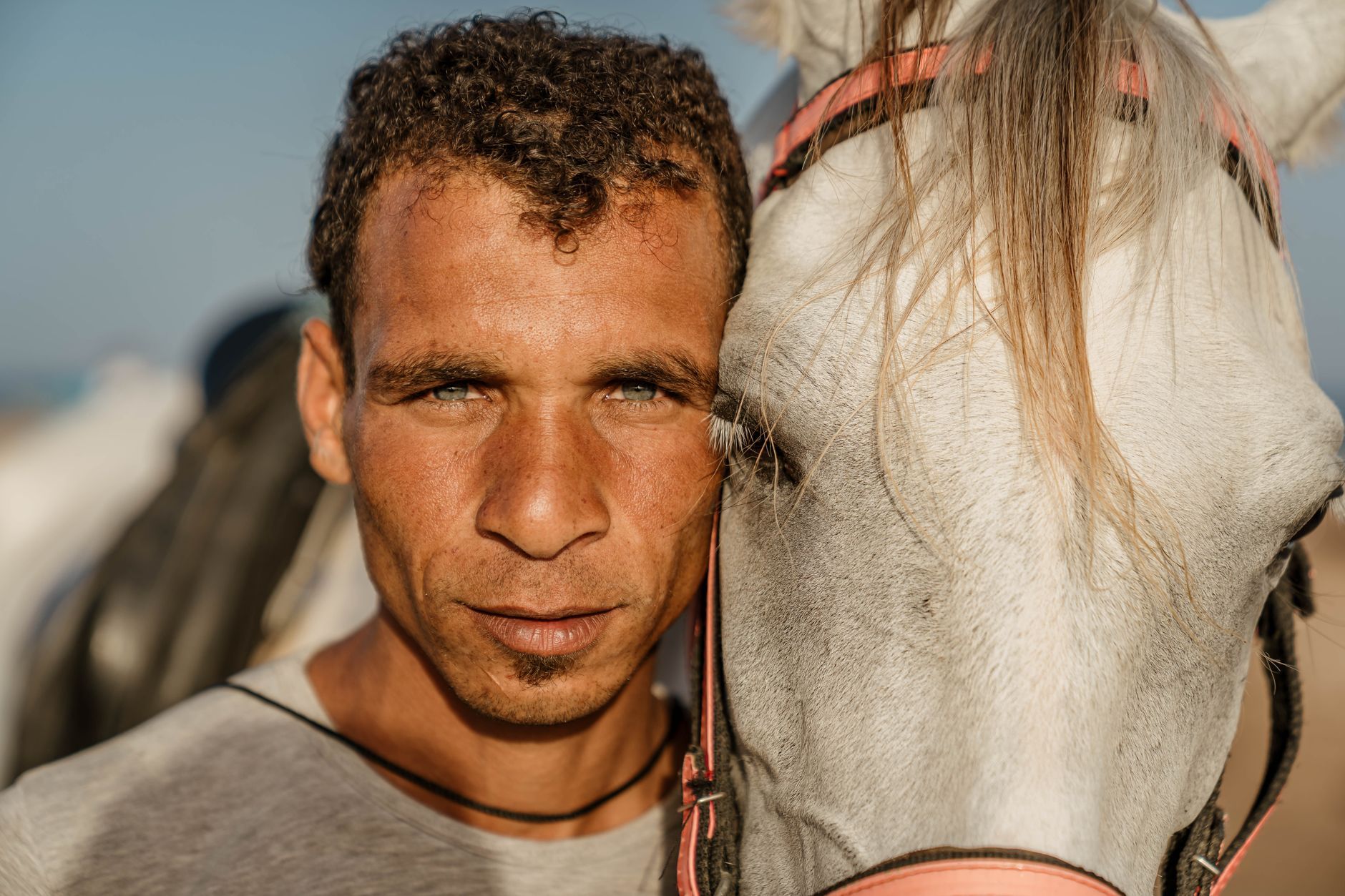 A young Egyptian man with a horse
