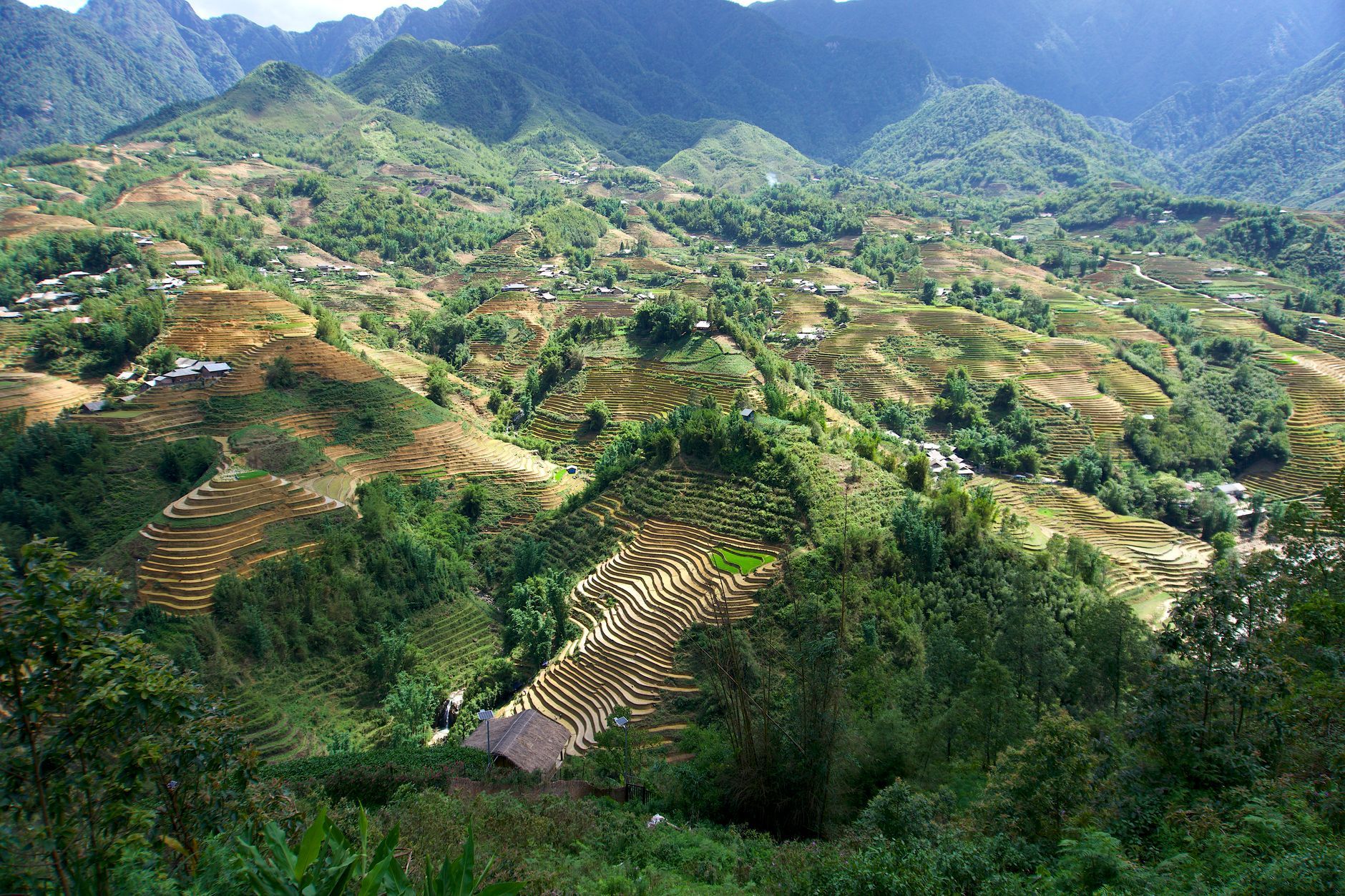 Rice terraces in Sapa, northern Vietnam