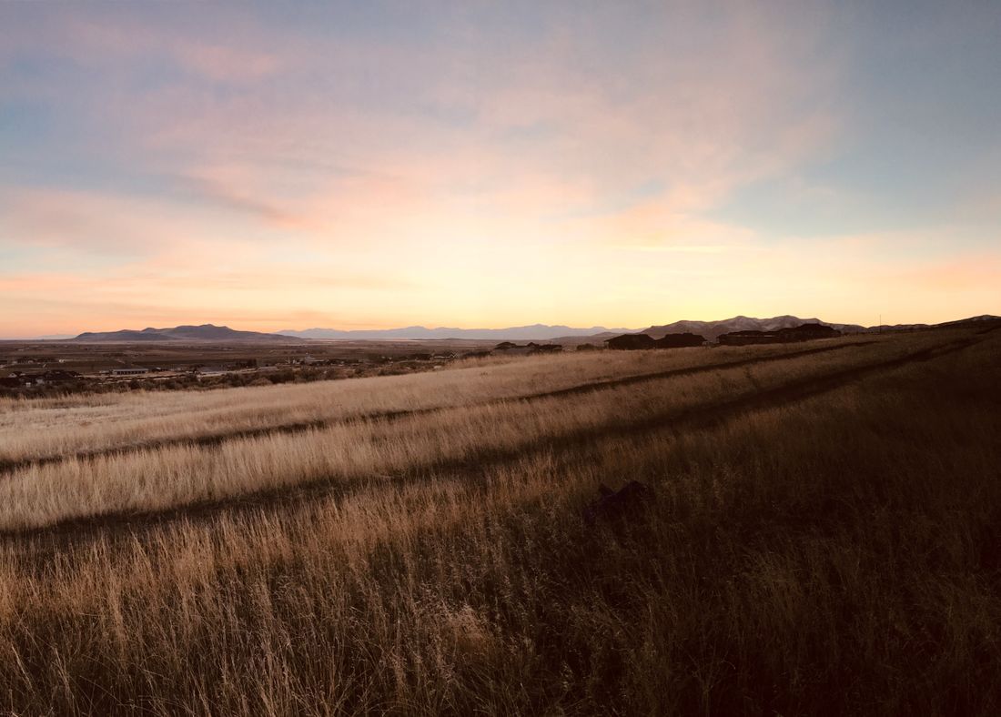 The first light of dawn over an open landscape