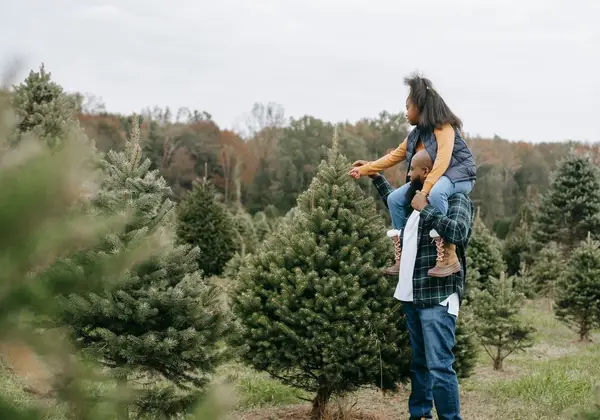 A father carrying his daughter on his shoulders at a Christmas tree farm