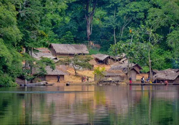 The Congo rainforest
