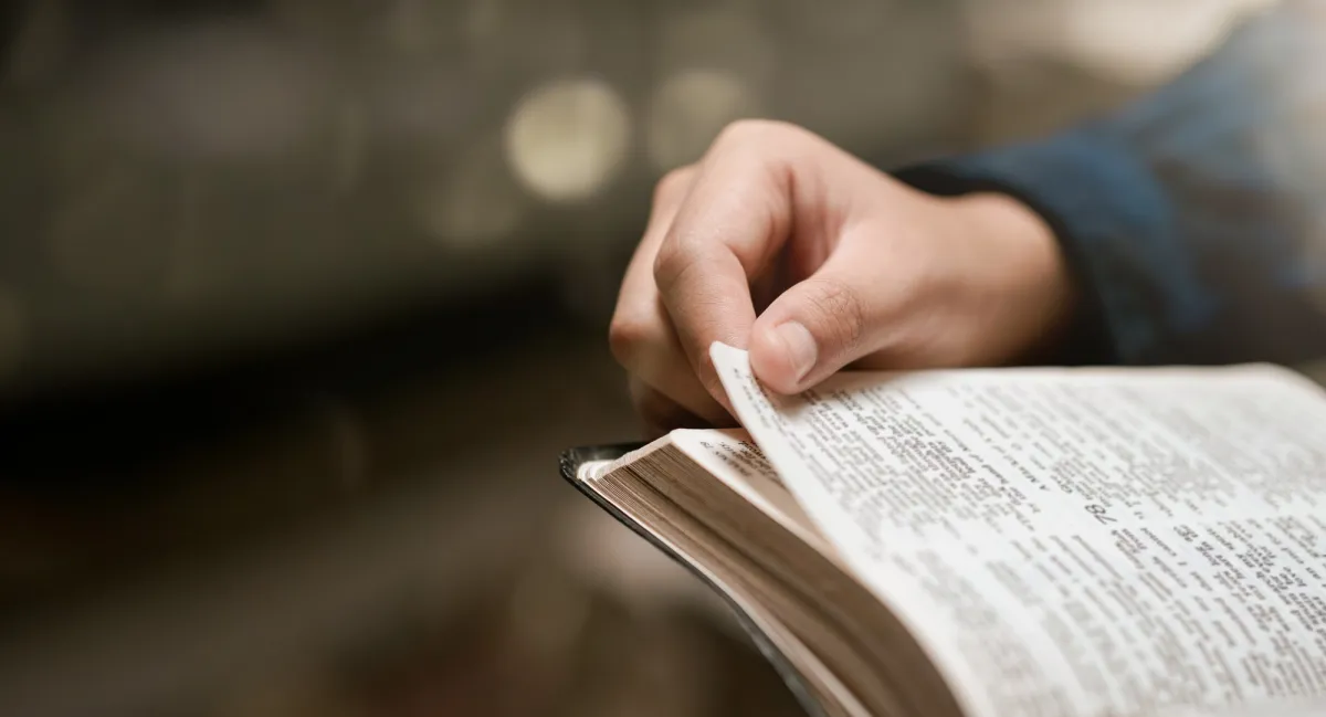A young woman sitting with an open Bible in soft window light — devotional discovery of the Father's heart as it is revealed across the canon, from Genesis to Revelation.