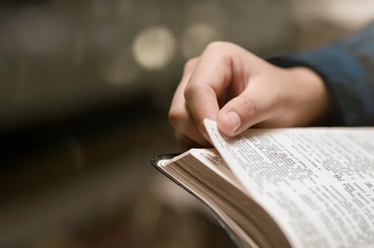 A young woman sitting with an open Bible in soft window light — devotional discovery of the Father's heart as it is revealed across the canon, from Genesis to Revelation.
