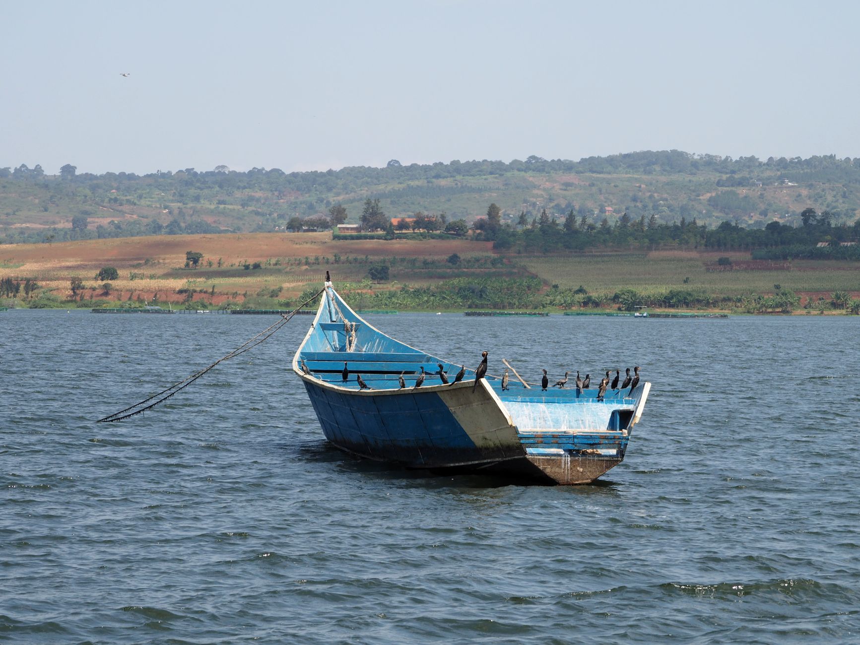 A boat on Lake Victoria, Uganda