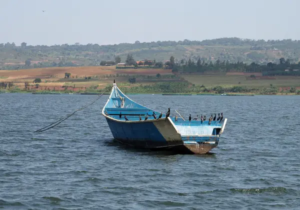 A boat on Lake Victoria, Uganda