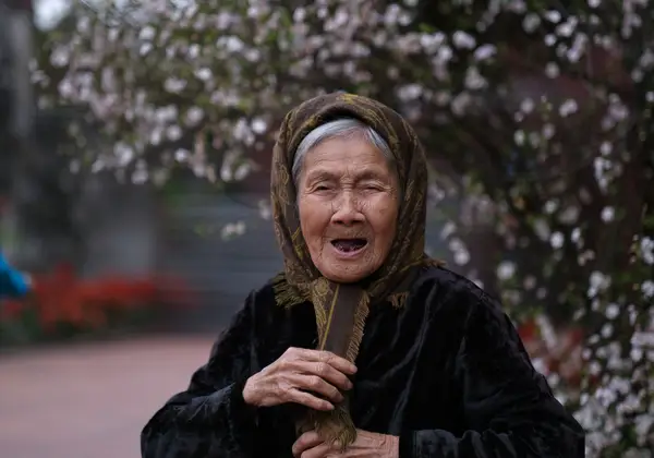 An elderly Vietnamese woman among spring blossoms