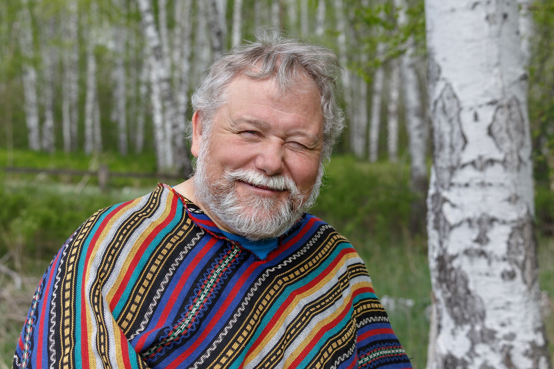 A cheerful elderly Russian man among birch trees
