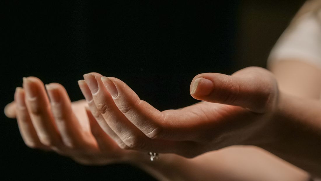 Open, cupped hands held up in the light