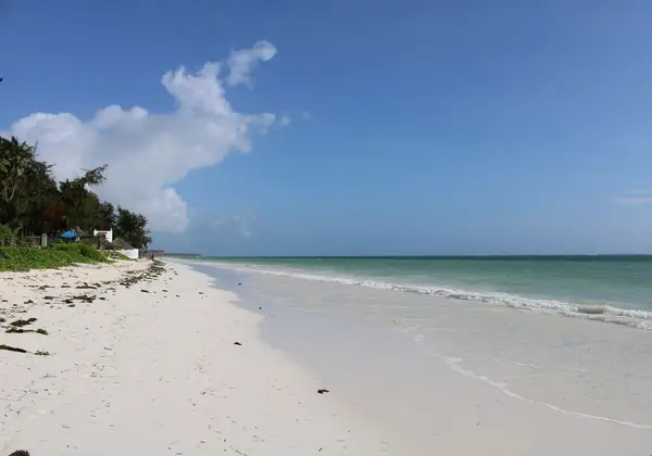 A white-sand beach in Zanzibar, Tanzania