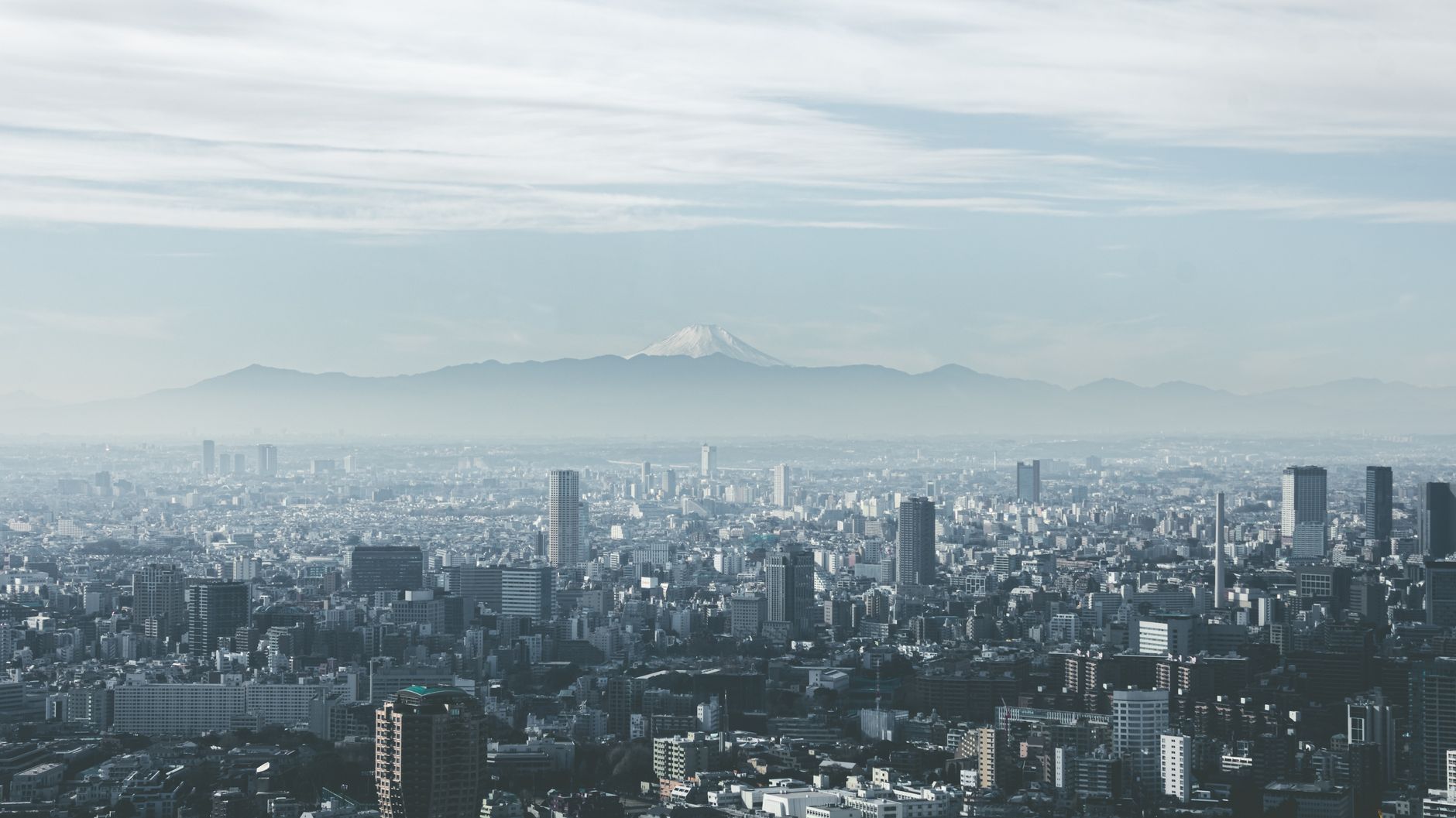 The Tokyo skyline