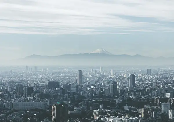 The Tokyo skyline