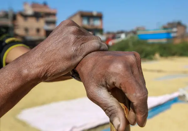 The weathered hands of an older worker at rest