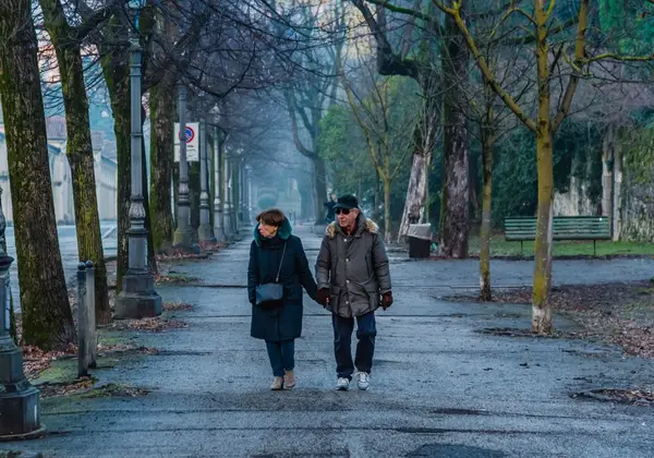 An elderly couple walking hand in hand down a misty tree-lined path