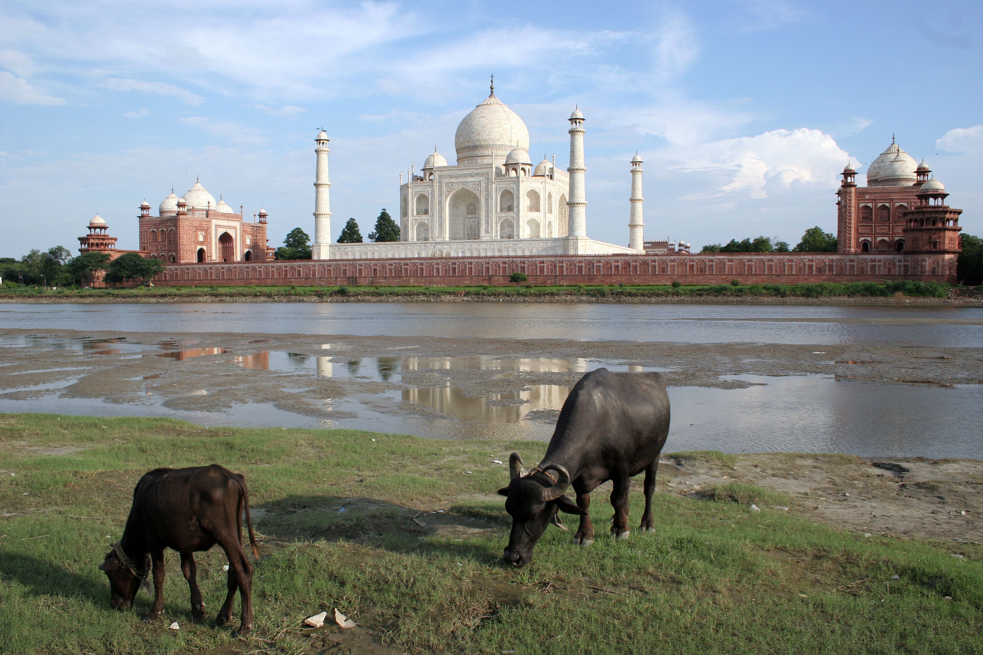 The Taj Mahal in Agra, India