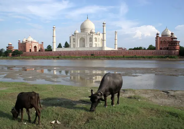 The Taj Mahal in Agra, India