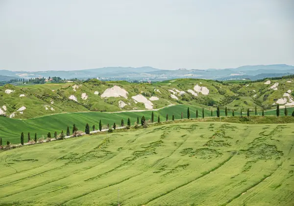The rolling hills of Tuscany, Italy