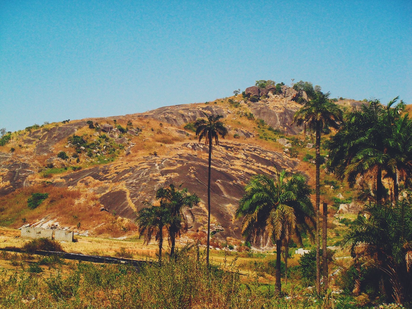 The Nigerian landscape