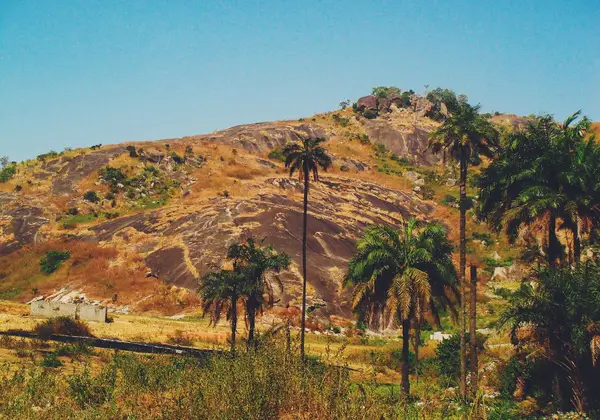 The Nigerian landscape