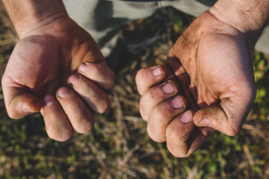 The worn, working hands of a laborer