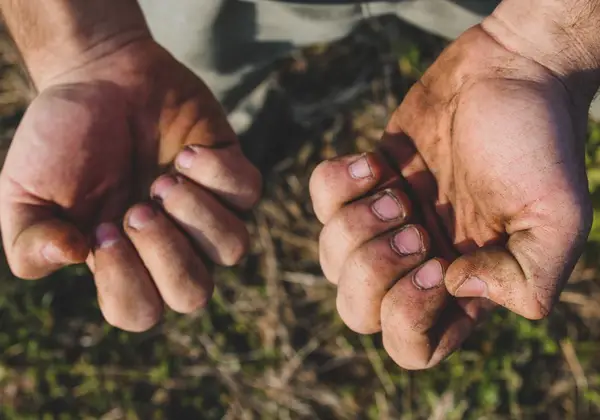 The worn, working hands of a laborer
