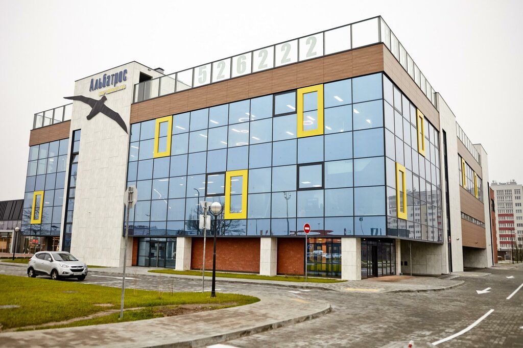 Альбатрос Восток