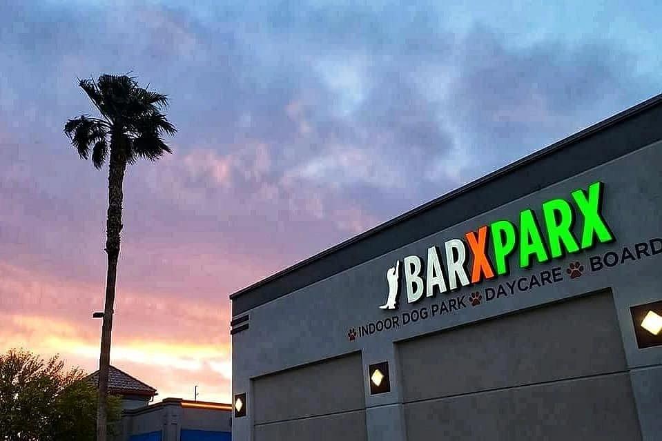 Barx Parx indoor dog park in Las vegas, NV