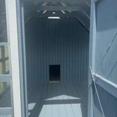 10x12 Chicken Coop with Blue Paint gallery 9