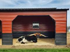 50x40x12/8 Barn with Front Porch gallery 2