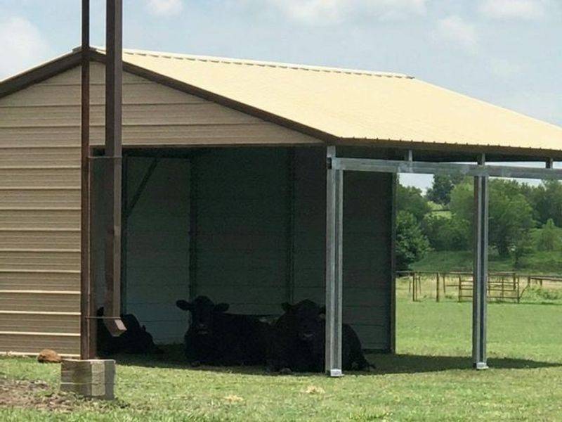 20x20x8 Loafing Shed with Vertical Roof