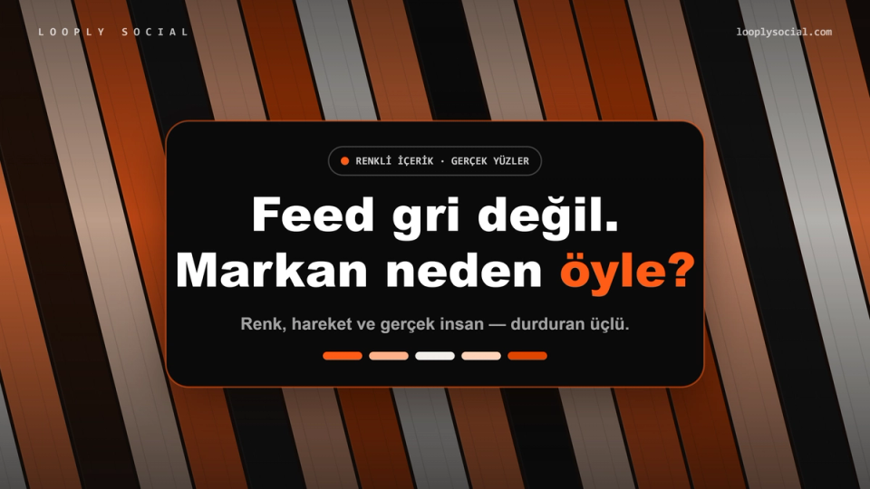 Facebook moda video reklamları için renkli feed görseli, Looply Social kapak tasarımı