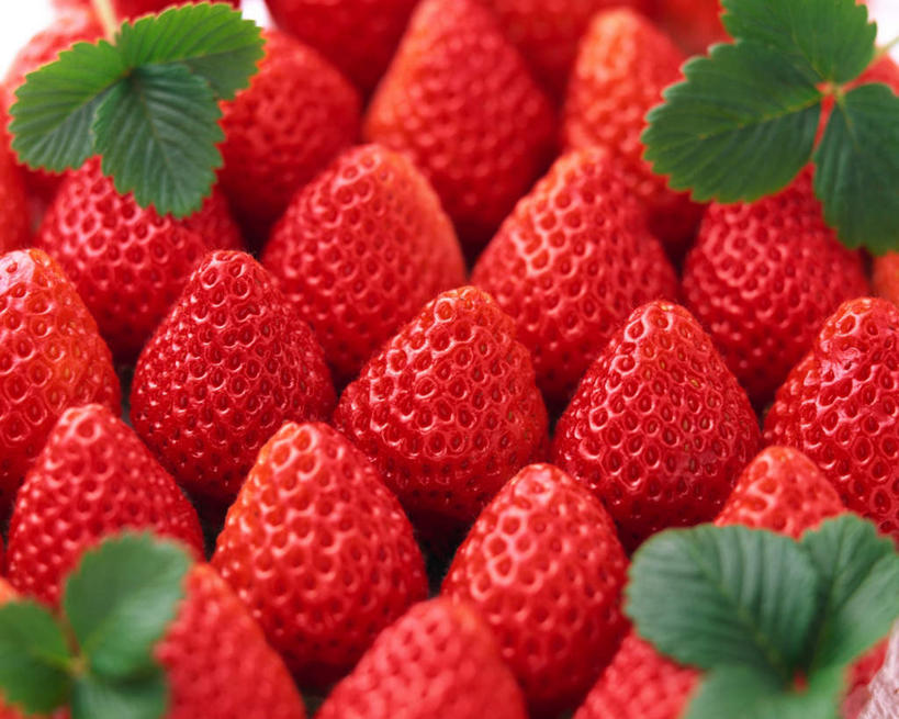 How to Prevent Mold in Indoor Strawberry Farming: Tips for Humidity and Airflow Management