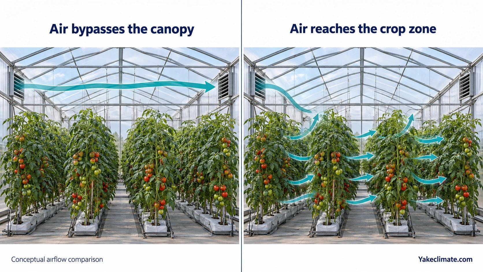 Conceptual airflow comparison showing air bypassing tomato plants above the canopy versus mixed air reaching the crop zone.