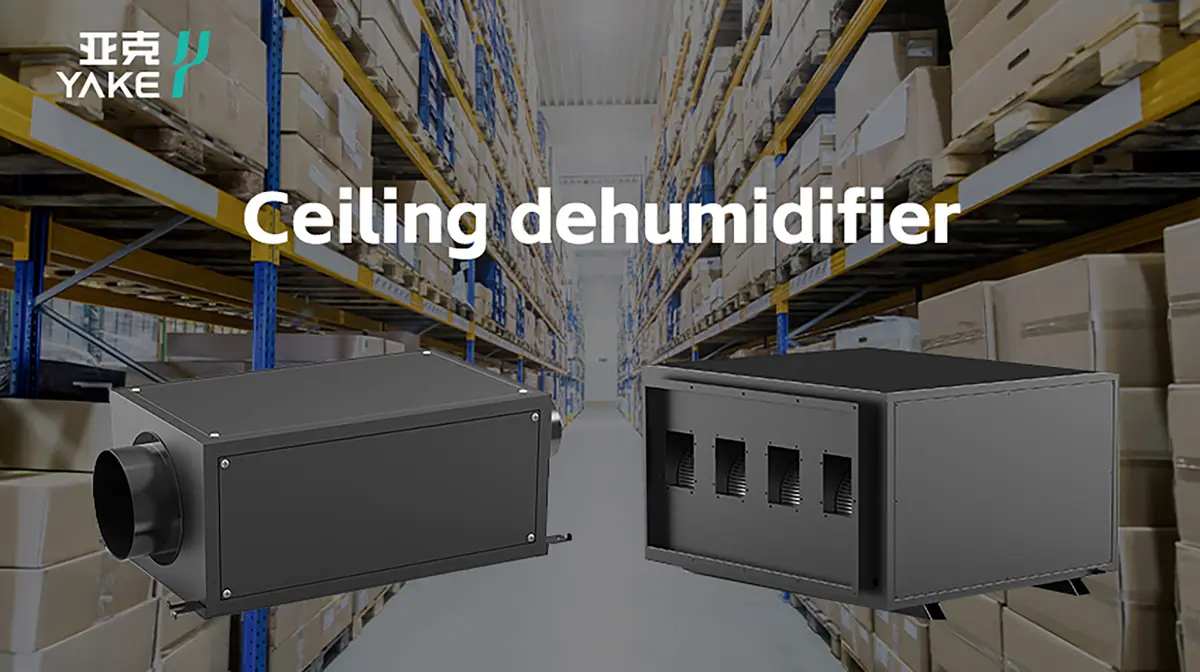 Ceiling-mounted dehumidifier with supply and return air connections.