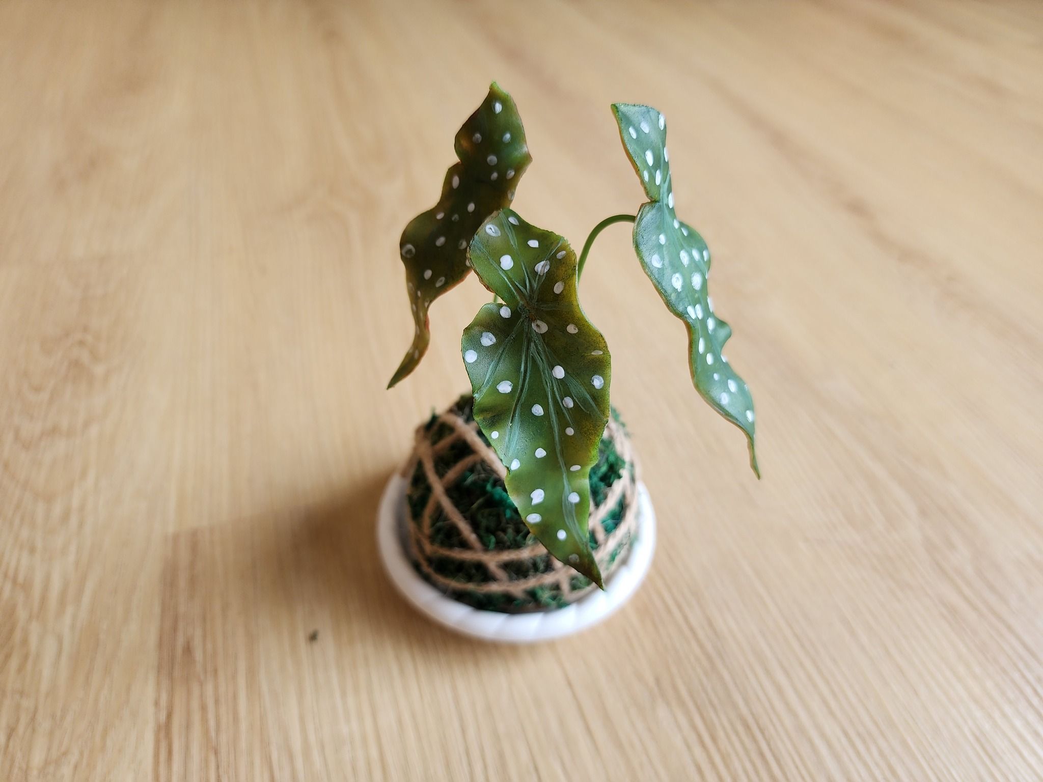 精緻黏土花藝